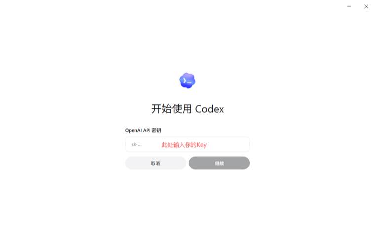 输入 API 密钥